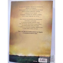 Mañana en Tierra de Tinieblas John Marsden Ed. Molino 332 pá