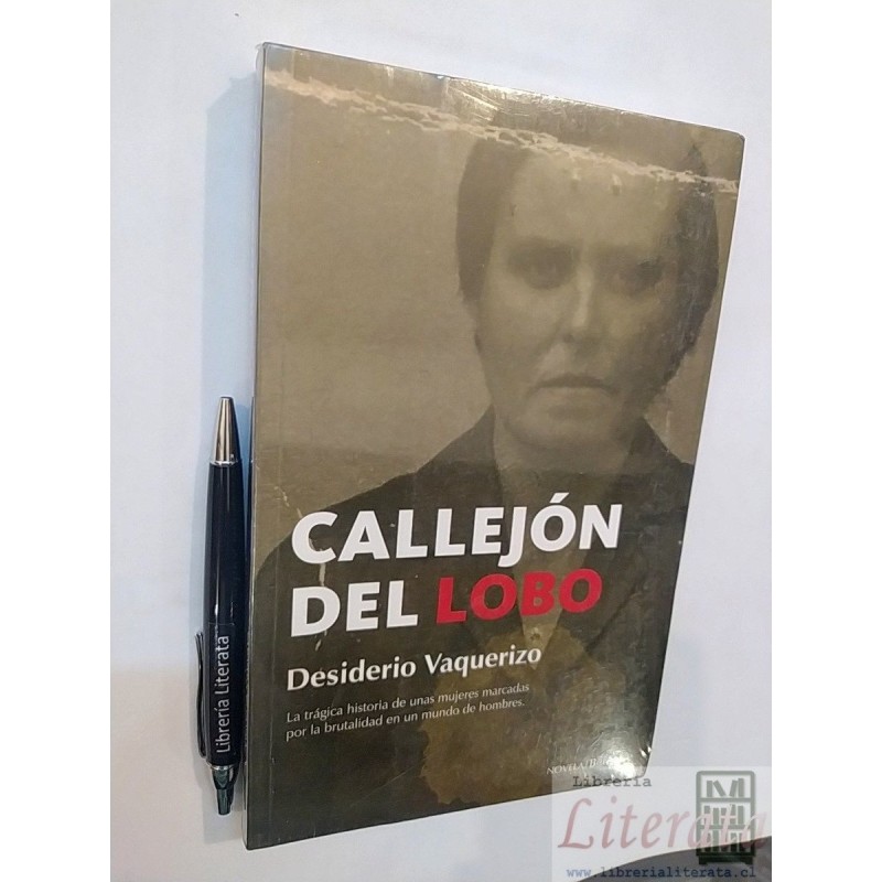 Callejón del lobo / maltrato de género Desiderio Vaquerizo E