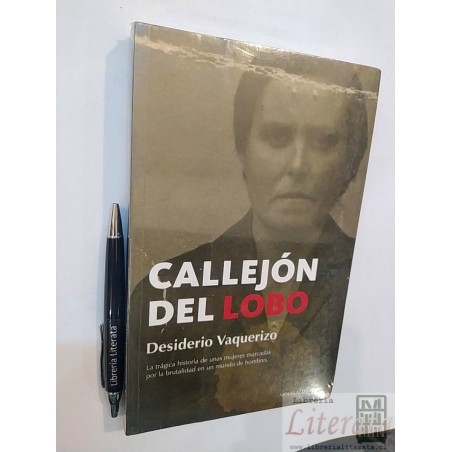 Callejón del lobo / maltrato de género Desiderio Vaquerizo E