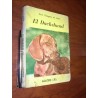 El Dachshund (en Español) Rosa Taragano De Azar Ed Albatros