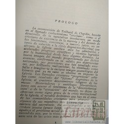 Teilhard de Chardin la evolución desfigurada Abraham Pimstein Lamm Ed. Aranciba Hmnos 243 páginas
