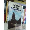 El amante increíble Leopoldo Azancot Ed. Planeta