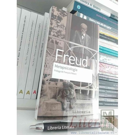 Metapsicología Freud Ed. Amorrortu / prólogo Francois Robert 279 páginas