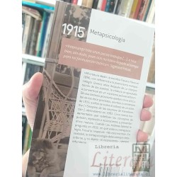 Metapsicología Freud Ed. Amorrortu / prólogo Francois Robert 279 páginas