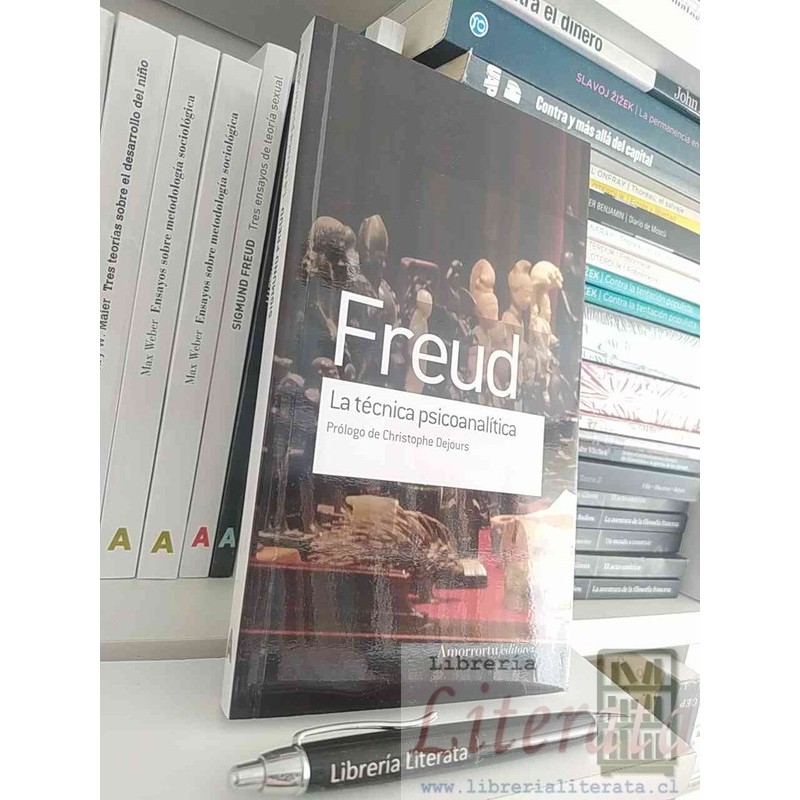 La técnica psicoanalítica Freud Ed. Amorrortu / prólogo Ch Dejours 260 páginas