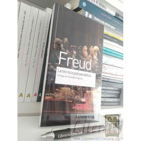 La técnica psicoanalítica Freud Ed. Amorrortu / prólogo Ch Dejours 260 páginas