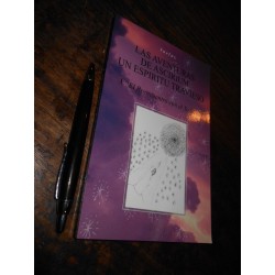 Las Aventuras De Ascirium Un Espiritu Travieso Laeluz El Ree