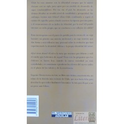 Crónica De Viaje Chile Y La Ruta A La Felicidad Eugenio Tiro