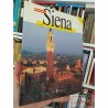 Siena 100 ilustraciones en color y 1 plano Storti Edizioni EN ESPAÑOL ilustrado colores