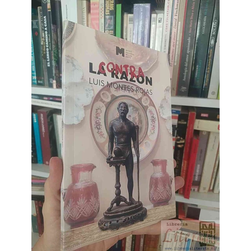 Contra la razón  Luis Montes Rojas Museo Nacional Bellas Artes
