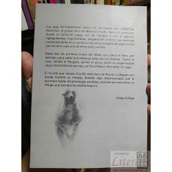 Retrovisor  Mónica Drouilly Libros de mentira editorial