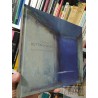 La poesía de lo cotidiano  Verónica Büttinghausen Ed Óptima tapas duras formato grande pinturas a colores 207 páginas