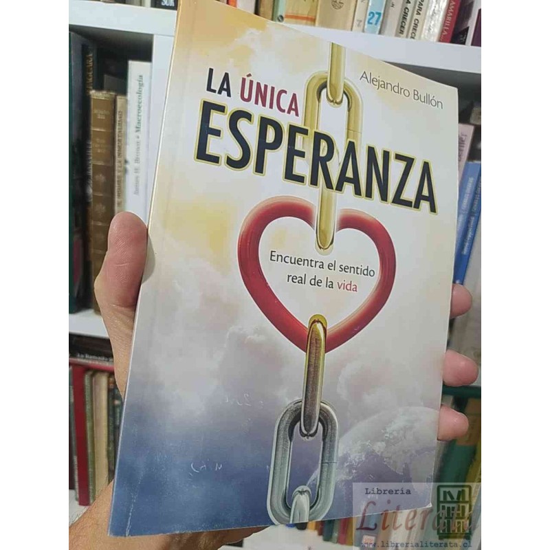 La unica Esperanza encuentra el sentido real de la vida  Alejandro Bullón Ed. Sudamericana
