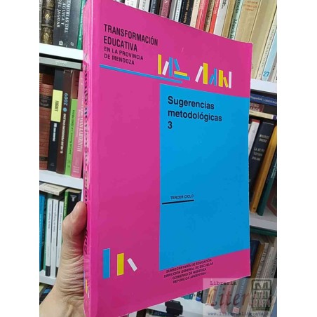 Transformación educativa Sugerencias metodológicas 3 Republica Mendoza Argentina  Subsecretaría de Educación Dirección G