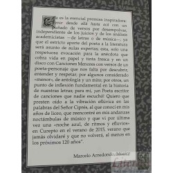 Ritmos - 120 Años  Pedro Antonio González Valenzuela Ed.  Pueblooculto