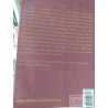 Laberinto Victor Panicello Ed. Bambú 395 páginas