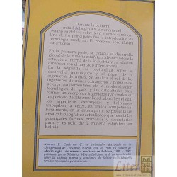 Tecnología moderna en los Andes minería e ingeniería en Bolivia en el siglo XX  Manuel E Contreras C  ILDIS