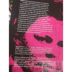 Anarquía sexual feminismo y homosexualidad Johanna Elberskirchen selección Paidós
