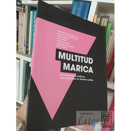 Multitud marica Activaciones de archivos sexo-disidentes en América Latina  Francisco Godoy Vega y otros Fundación arte