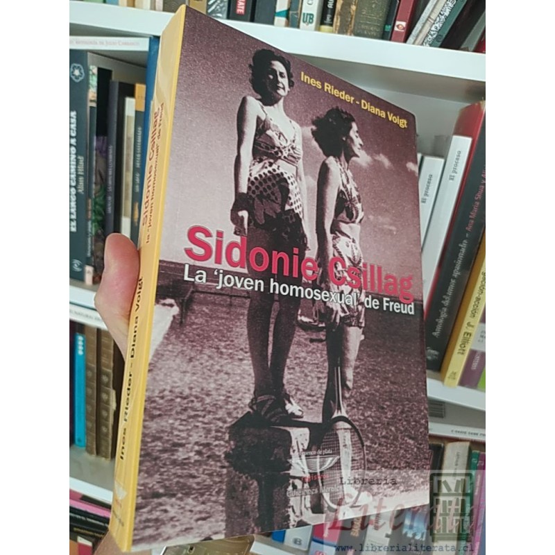 Sidonie Csillag la joven homosexual de Freud  Ines Rieder-Diana Voigt El cuenco de plata registros formato grande 413 pá