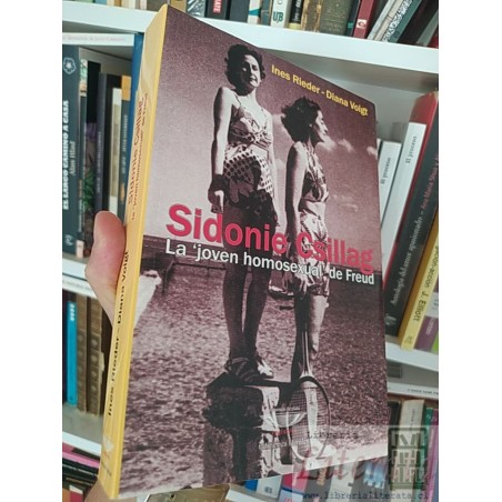Sidonie Csillag la joven homosexual de Freud  Ines Rieder-Diana Voigt El cuenco de plata registros formato grande 413 pá