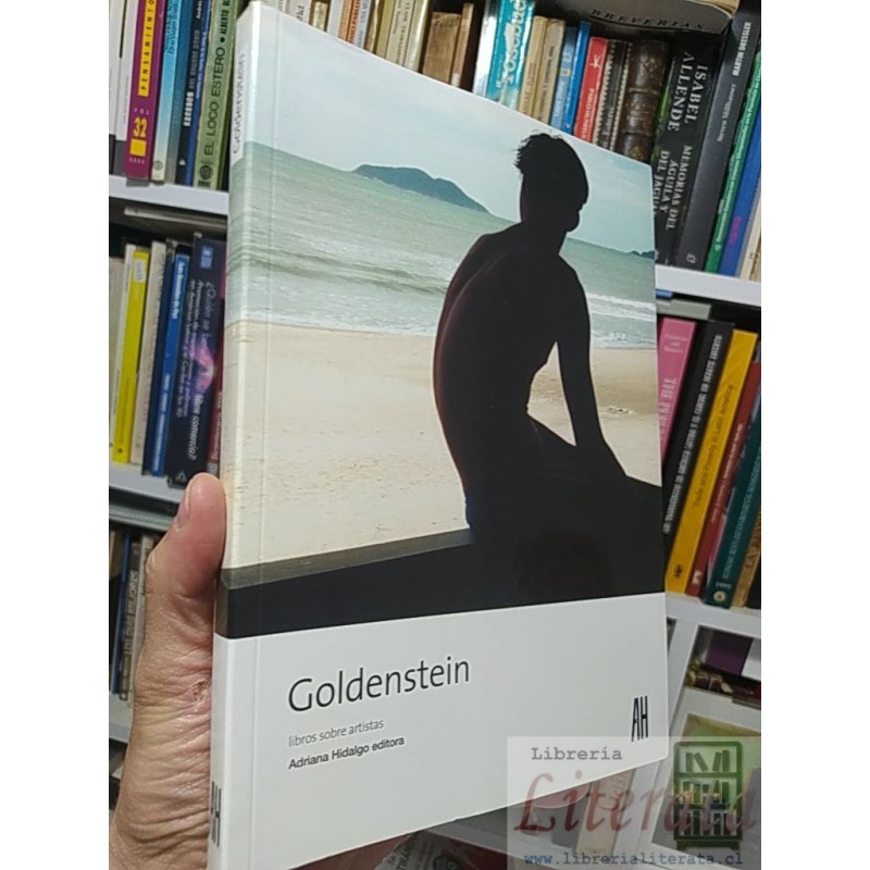 Goldenstein libros sobre artistas Goldenstein Adriana Hidalgo fotografias a color formato grande