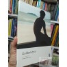 Goldenstein libros sobre artistas Goldenstein Adriana Hidalgo fotografias a color formato grande