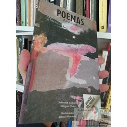 Poemas  Raúl Zurita Ilustrado I Gumucuio Ed FCE Vientos...