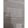 Los pájaros y el viento: poemas escogidos  María Monvel María Donoso Brito  Ediciones Plaza de letras, selección y prólo