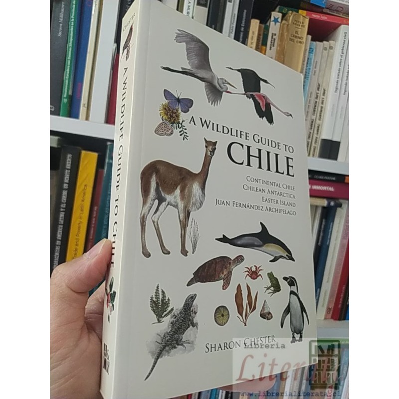 A wildlife guide to Chile: Continental Chile, Chilean Antarctica, Easter Island, Juan Fernández Archipelago Sharon Chest