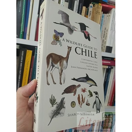 A wildlife guide to Chile: Continental Chile, Chilean Antarctica, Easter Island, Juan Fernández Archipelago Sharon Chest