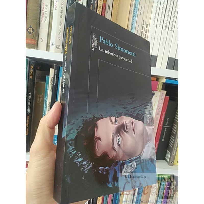 La soberbia juventud Pablo Simonetti Alfaguara formato grande 329 páginas