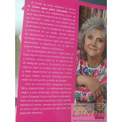 Alupita le gustaba planchar Laura Esquivel Suma 198 páginas