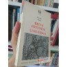 Breve historia universal Ricardo Krebs Editorial Universitaria, Colección el Saber y la Cultura 466 páginas