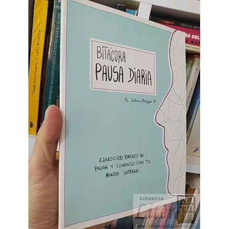 Pausa diaria, ejercicios breves de pausa y conexión con tu mundo interno  Ps Silvia Filippi B  Bitácora