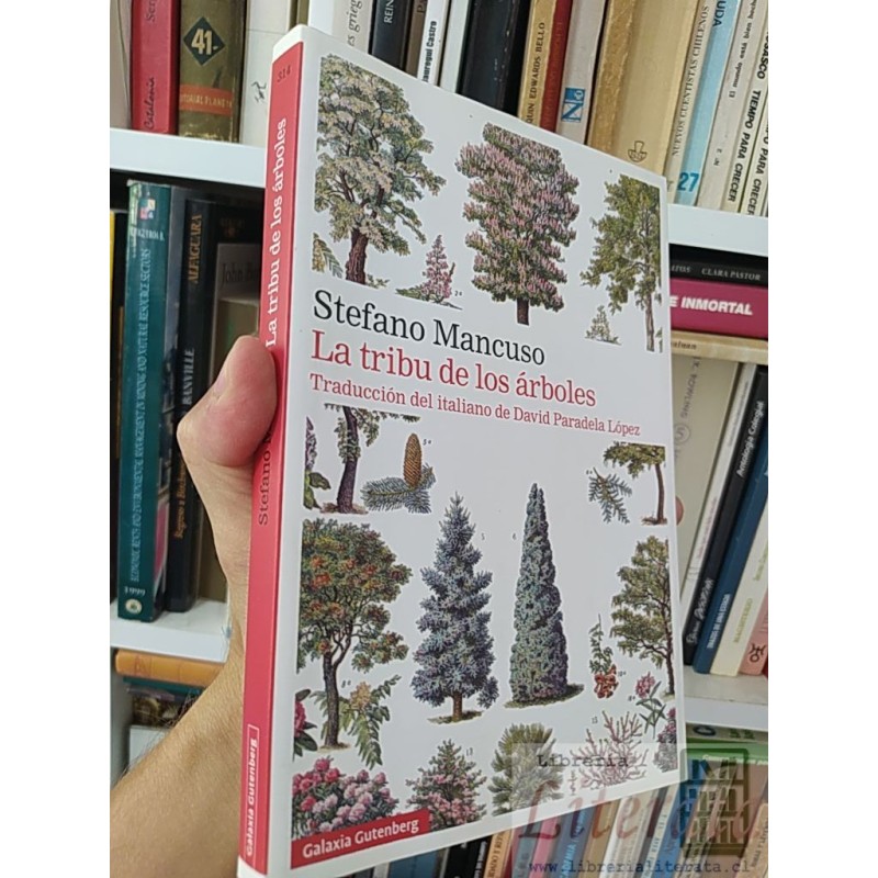 La tribu de los árboles Stefano Mancuso Galaxia Gutenberg 195 páginas