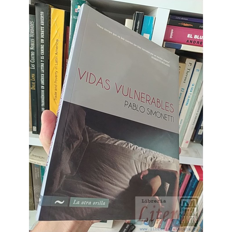 Vidas vulnerables Pablo Simonetti La otra orilla