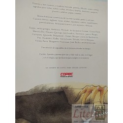 Cuento contigo 4 Loreto Fontaine (ed) Harald Beyer Antonio Cussen Arturo Fontaine Cuentos, relatos y poemas a partir de