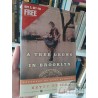 A tree grows in Brooklyn Betty Smith Harper Perennial Modern Classics EN INGLES