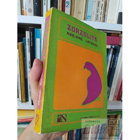 Zurzulita Mariano Latorre Nascimento 350 páginas