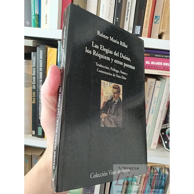 Las elegías del Duino, los Réquiem y otros poemas Rainer Maria Rilke Colección Visor de Poesía 317 páginas