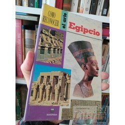 Como reconocer el arte Egipcio Giorgio Lise Edunsa a color