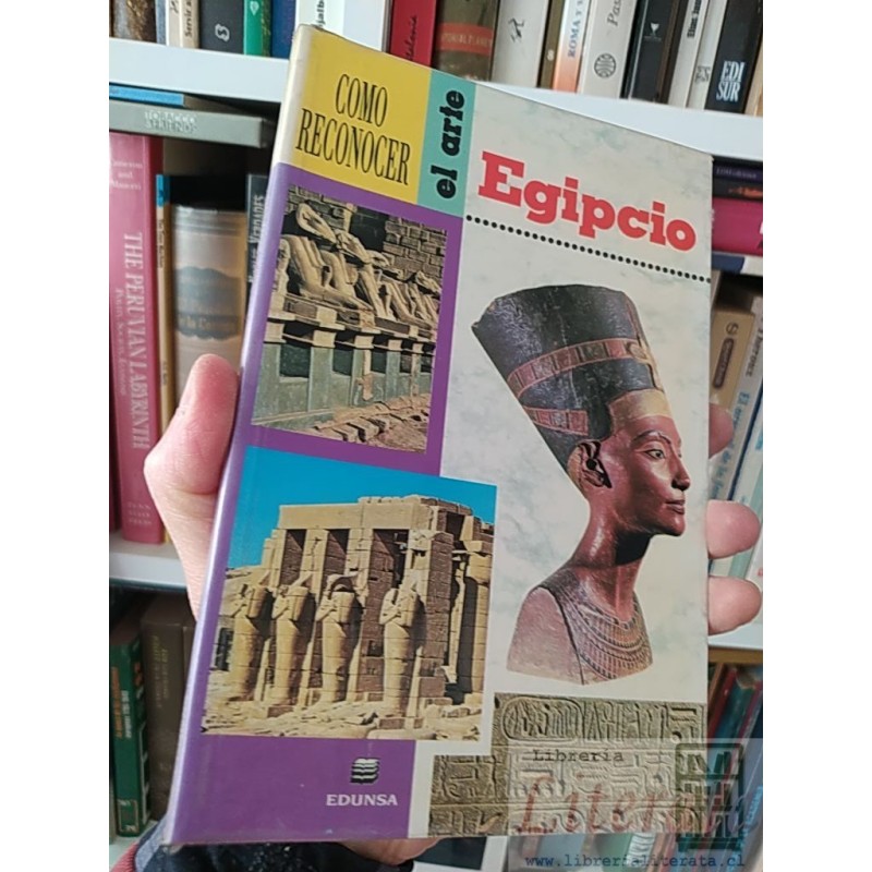 Como reconocer el arte Egipcio Giorgio Lise Edunsa a color