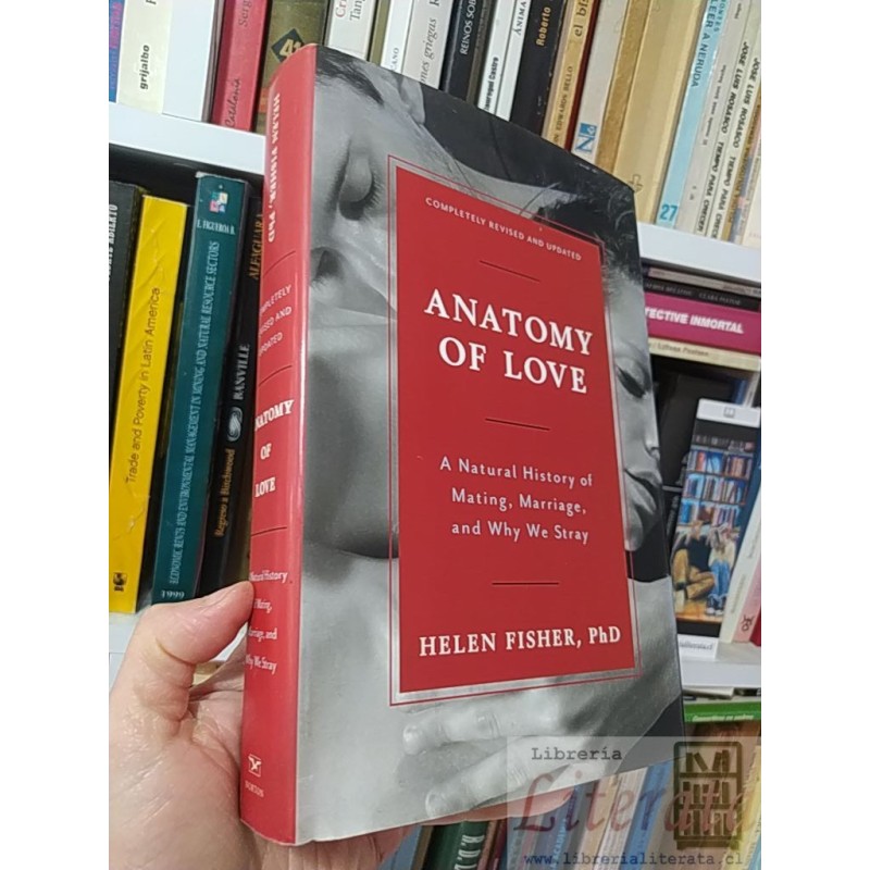 Anatomy of love Helen Fisher Ed. Norton EN INGLES tapas duras formato grande A natural history of Mating, Marriage, and