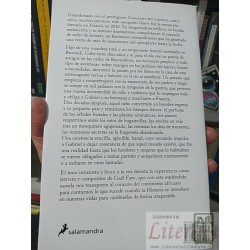 Pequeño país Gael Faye Narrativa Salamandra 219 páginas