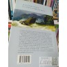 El conde de Montecristo Alexandre Dumas Mondadori Grandes clásicos  tapas duras formato grande 1154 páginas