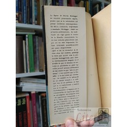 ¿Qué es eso de filosofía? Martin Heidegger Sur