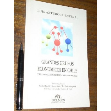 Grandes Grupos Económicos En Chile Y Los Modelos De...