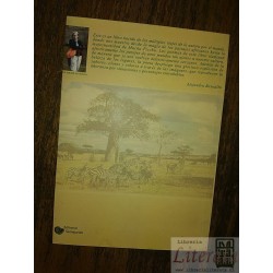 A la sombra de un baobab en África Blanca del Río Ed. Semeja